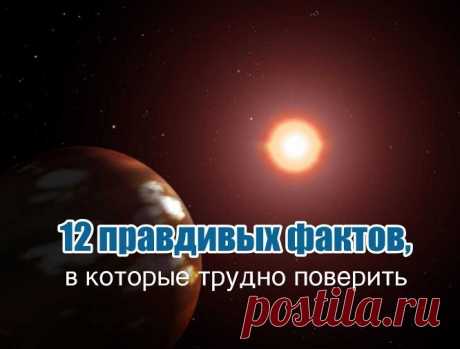 12 правдивых фактов, в которые трудно поверить 12 правдивых фактов, в которые трудно поверить

1) Количество смертных случаев на боксёрском ринге резко возросло с появлением боксёрских перчаток. Пока их не было, боксёры били друг друга голыми костяшками пальцев. Удары в голову (самые опасные) часто заканчивались переломами рук, поэтому их почти никто не использовал.

2) Одна тигрица загрызла 430 человек. Это больше, чем пострадавших от нападения акул за последние 300 лет.
...