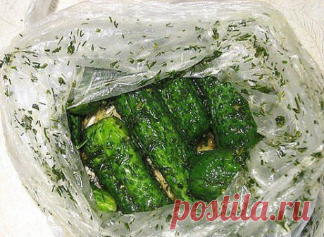 Малосольные огурчики без рассола
Готовятся очень легко и быстро! Попробуйте приготовить! Читать продолжение:   ►►► www.ok.ru/group/52094723948747

Дорогие кулинары! Чтобы не потерять рецепт, жмите &quot;Класс!&quot;, а потом &quot;поделиться&quot;. Рецепт будет на вашей стене В Одноклассники. Всё ОК!