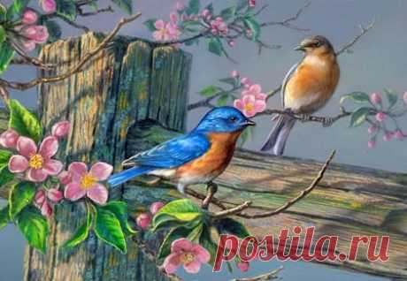 cute beautiful things for dp – Google Поиск