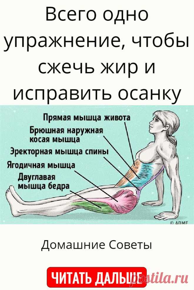 Всего одно упражнение, чтобы сжечь жир и исправить осанку