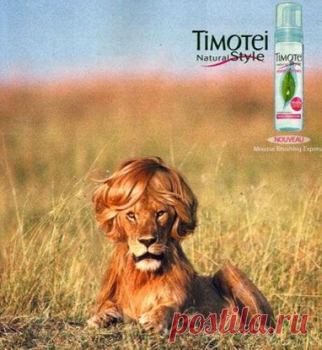 юмор приколы фото - 876 тыс. картинок. Поиск@Mail.Ru
