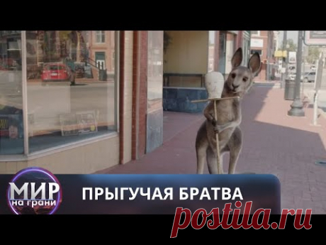 ОТЛИЧНАЯ КОМЕДИЯ ДЛЯ ВЕЧЕРА В КРУГУ СЕМЬИ! Прыгучая братва