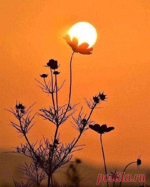 (70) Одноклассники