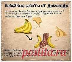 Где хранить бананы