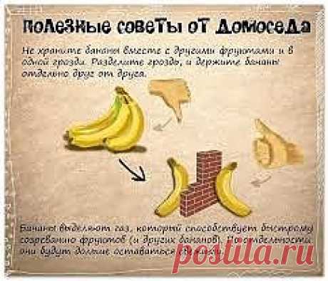 Где хранить бананы