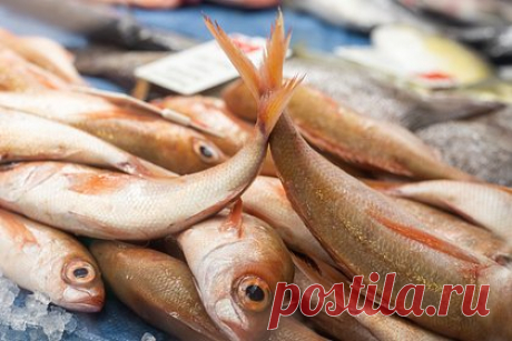 Морепродукты отнесли к экологически чистому продовольствию. Экологические чистые продукты дают больше питательных веществ, чем говядина, свинина и курица, а также способствуют сокращению выбросов парниковых газов. К такому выводу пришли ученые Швеции и Канады, которые проанализировали питательную ценность морепродуктов, включая рыбу, мидии и устрицы.