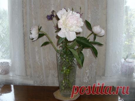 Готовить вкусно