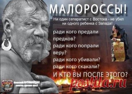 Галичанин: «А ми коло вас пристроїмся»