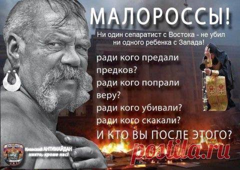 Галичанин: «А ми коло вас пристроїмся»