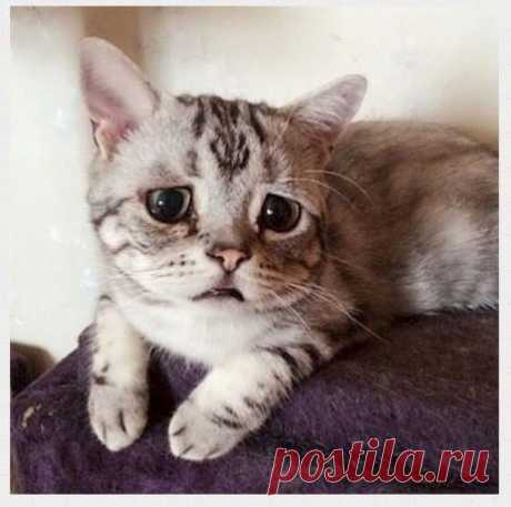 (1) Мой Мир@Mail.Ru
