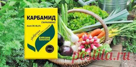 Карбамид (мочевина) — Ботаничка.ru