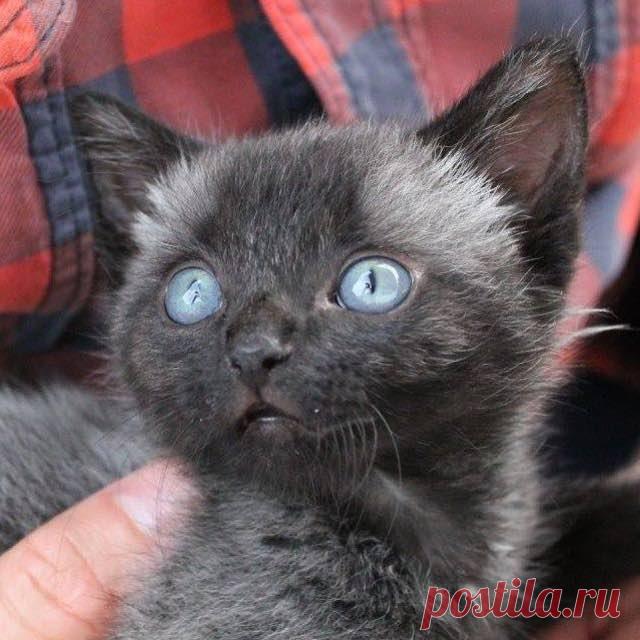 Крошечное чудо, которому небо послало не только страшный ливень, но и ангела во спасение