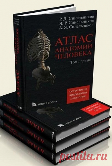 Атлас анатомии человека в 4 томах (2009-2010) PDF Посетители сайта SoftLabirint.Com – Для Вас Атлас анатомии человека в 4 томах - Издание седьмое, переработанное. Все анатомические термины даны в соответствии с Международной анатомической терминологией. Текст иллюстрирован оригинальными рисунками, фотографиями препаратов и рентгенограммами.Список