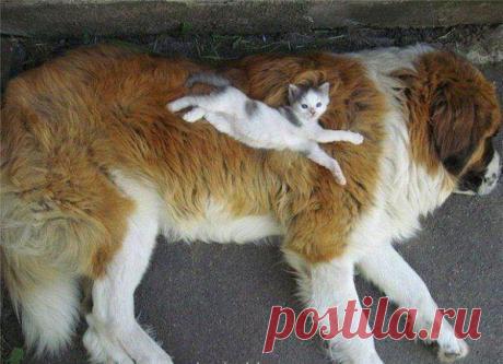 ПОЛНАЯ РЖАКА!