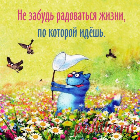 Во-во!