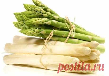 Спаржа. 

Содержит витамины А, B1, B2, С, Е, PP богата кальцием, калием, фосфором, железом. Входящие в ее состав полезные вещества легко усваиваются организмом. Cодержит большое количество антиоксидантов, которые препятствуют раннему старению организма, снижают риск заболевания раком. 

Сырую спаржу тонко нарежьте вдоль, чтобы получились ленты, добавьте крупную стружку сыра пармезан, приправьте солью и перцем по вкусу. В качестве заправки используйте оливковое масло и сок лимона.