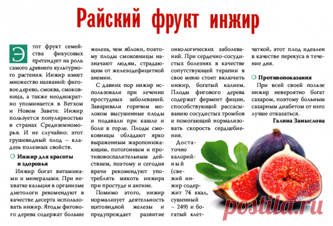 Инжир