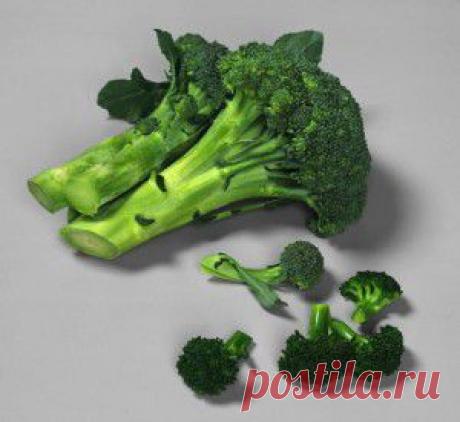 Блюда из брокколи | vita-jizn.net
Блюда из брокколи не совсем привычны для нас. Но если Вы хотите не только вкусно поесть, но и оздоровиться, употребляйте блюда из брокколи.
По содержанию витамина U капуста брокколи опережает все овощи, кроме спаржи, а по витамину С брокколи обогнала цитрусовые в 2,5 раза. По бета-каротину она не уступает таким лидерам, как морковь и тыква.
9 рецептов блюд из брокколи: