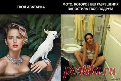 А сфоткай меня так! На аватару пойдет! / Surfingbird знает всё, что ты любишь