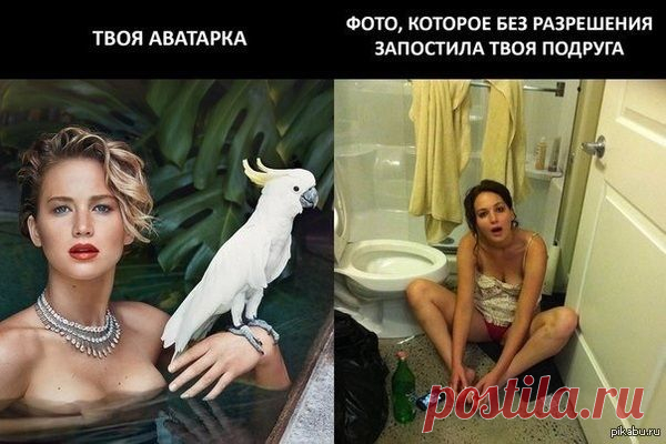 А сфоткай меня так! На аватару пойдет! / Surfingbird знает всё, что ты любишь