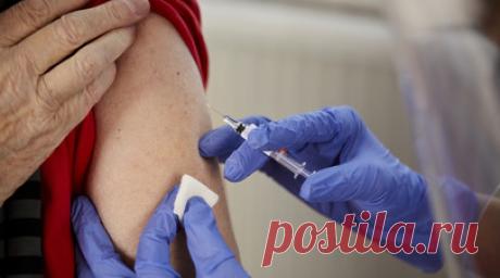 Гинцбург: в регионы начали отгружать обновлённую вакцину «Спутник Лайт». Директор Национального исследовательского центра эпидемиологии и микробиологии имени Н.Ф. Гамалеи Минздрава России Александр Гинцбург сообщил, что уже началась отгрузка вакцины от коронавируса «Спутник Лайт» с обновлённым антигенным составом в российские регионы. Читать далее