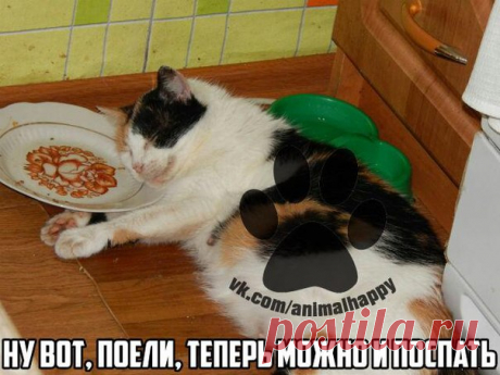 Дмитрий Ларьков