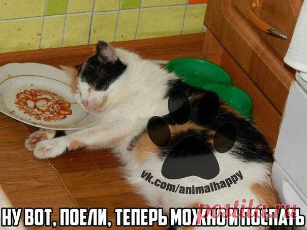 Дмитрий Ларьков