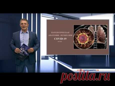 Коронавирус COVID–19: Официальная информация о коронавирусе в России на портале – стопкоронавирус.рф