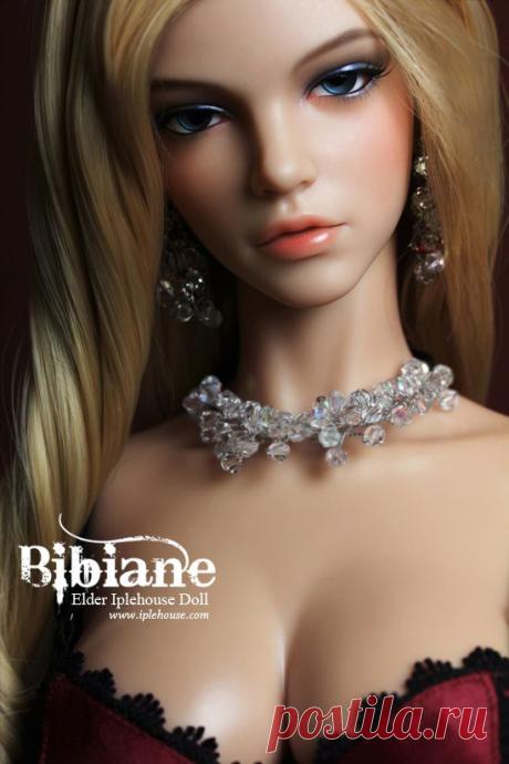 IPLE BJD