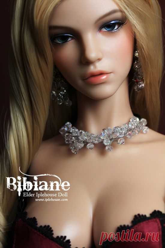 IPLE BJD