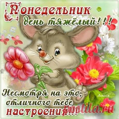 Поиск в Google+