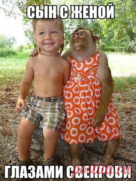 Прикольные фотомемы