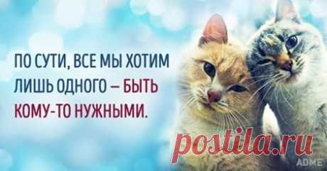 Взаимный Фонд МЕРКУРИЙ: https://goo.gl/YaFwx1 - Людмила Коваленко | Facebook
