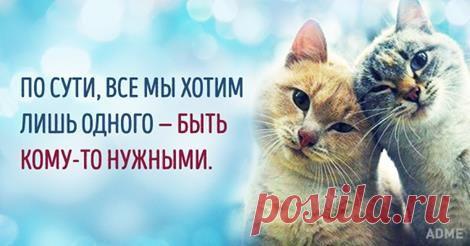Взаимный Фонд МЕРКУРИЙ: http://goo.gl/YaFwx1 - Людмила Коваленко | Facebook