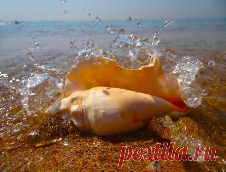 Фото 0579 обложки www infocentrum org www paintball-tour eu www luxe-line net. Альбом Обложки www infocentrum org - 586 фото. Фотографии Дима Чех Позитивчик.