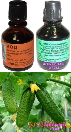 (47) Одноклассники