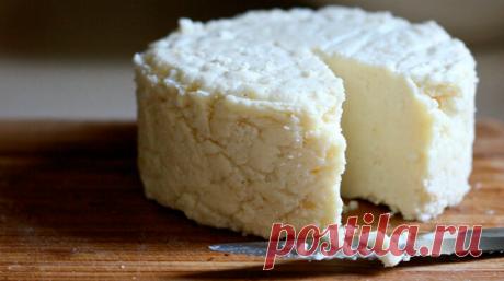 Топ - 14 самых вкусных домашних сыров: лучшая подборка! Супер подборка!