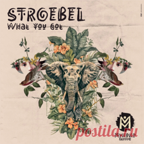 STROEBEL - What You Got (Extended Mix) | 4DJsonline.com