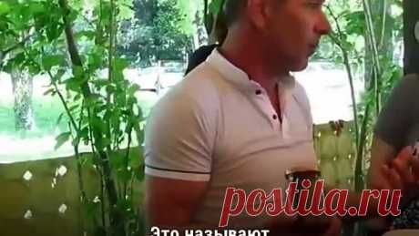 Проверка мёда.