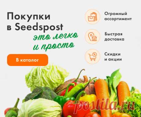 Почта Mail.ru