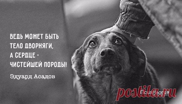 Психология