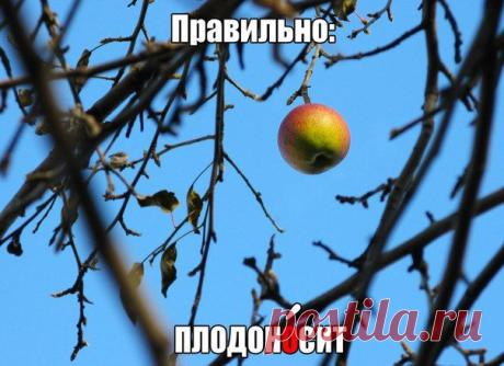 Стена