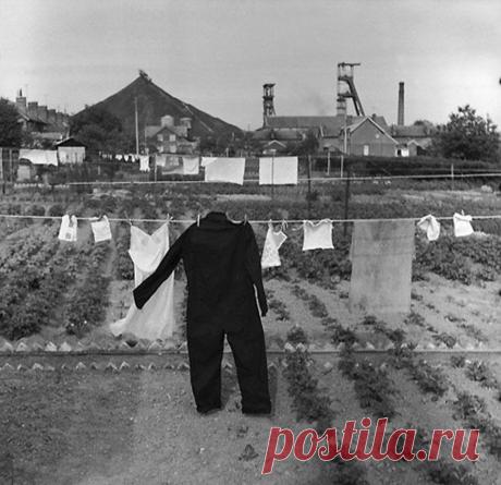 Фотограф Рене Мальтет: смотрите на жизнь с улыбкой