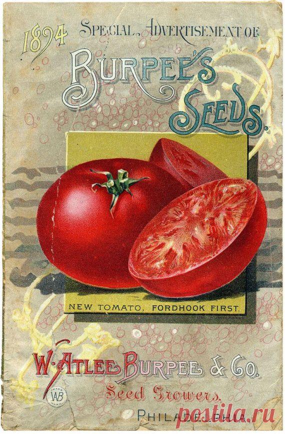 Кухонные этикеточки / Картинки для декупажа / PassionForum - мастер-классы по рукоделию