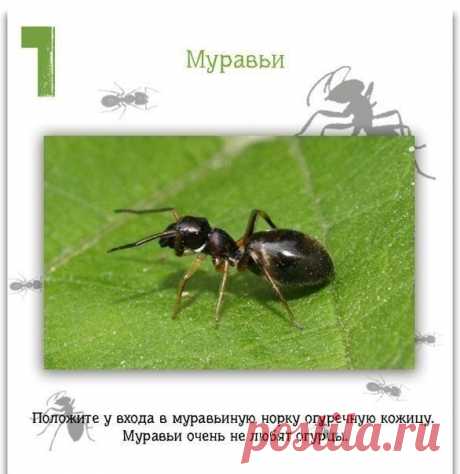 Фотографии на стене сообщества | 32 776 фотографий