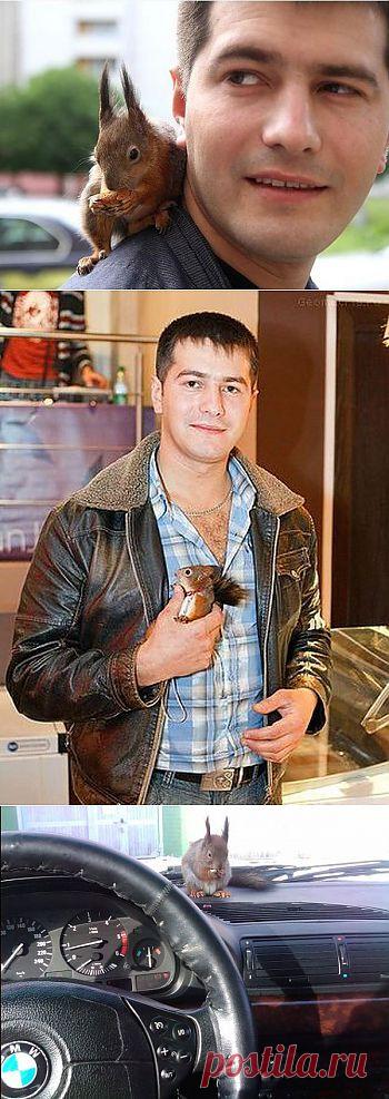 Необычный напарник минского таксиста | Fresher - Лучшее из Рунета за день