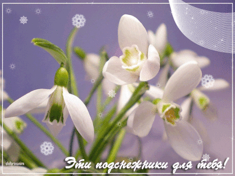 Мой Мир@Mail.Ru