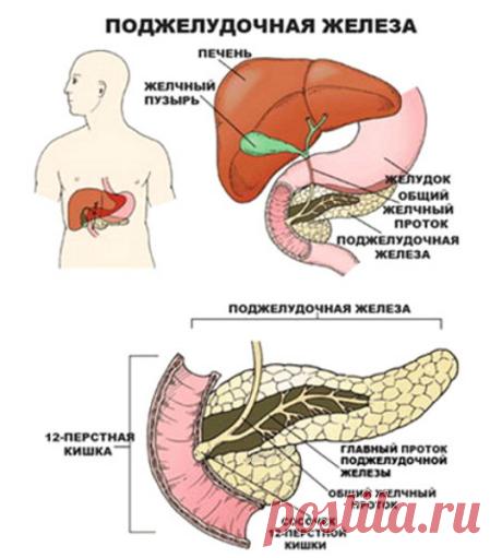 Панкреатит .Методы лечения народными средствами.