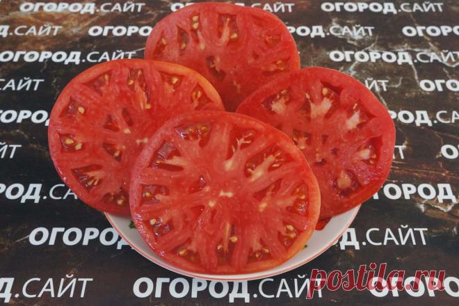 Томат Сызранская розовая ранняя, семена | ОГОРОД.сайт