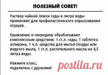 Дачный советник